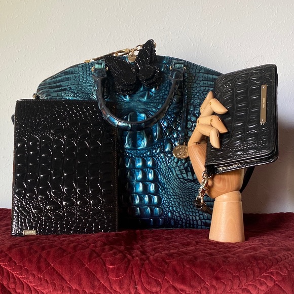 My Brahmin Set Is Complete! - Picture 7 of 12